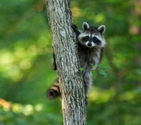 "Just hangin' around"