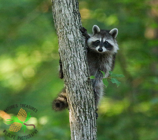 "Just hangin' around"