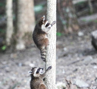 "I'm right behind you"