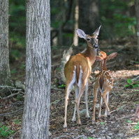 Togetherness