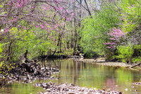 Spring on Cedar Creek