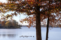 Autumn on the lake