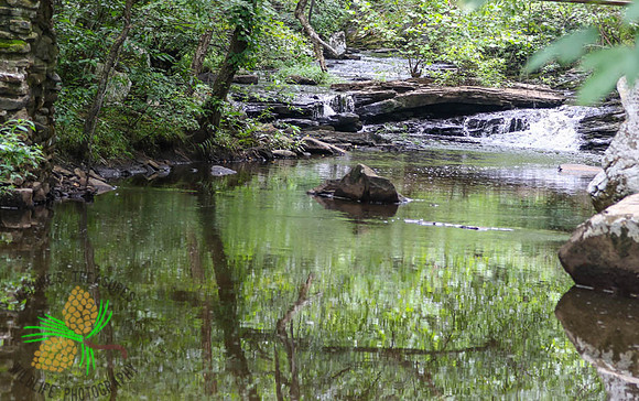 Petit Jean State Park #2