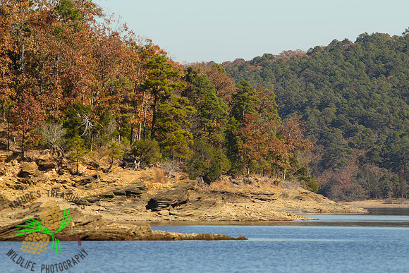Lake Ouachita #2