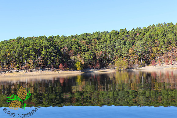 Lake Ouachita #3