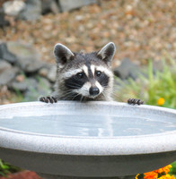 "Caught in the act"
